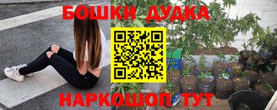 соль ск Шахты