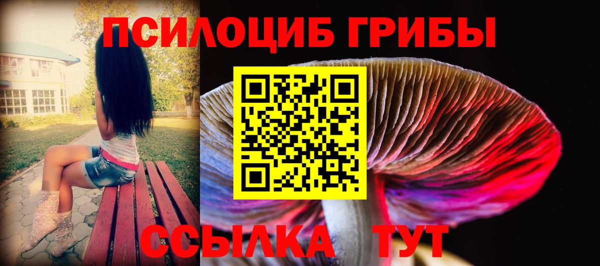 Псилоцибиновые грибы Psilocybe  Вход с VPN  Магнитогорск  Галлюциногенные грибы GOLDEN TEACHER 